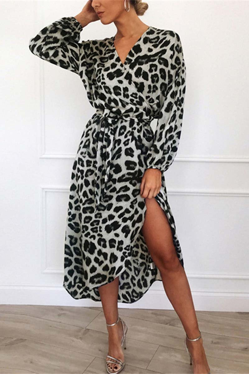 Florcoo V Neck Sexy Leopard Dress(4 colors)