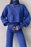 Casual Solid Solid Color Turtleneck Long Sleeve Two Pieces(5 Colors)