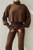 Casual Solid Solid Color Turtleneck Long Sleeve Two Pieces(5 Colors)