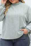 Casual Solid Basic Turtleneck Plus Size Tops