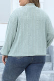 Casual Solid Basic Turtleneck Plus Size Tops