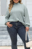 Casual Solid Basic Turtleneck Plus Size Tops