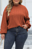 Casual Solid Basic Turtleneck Plus Size Tops