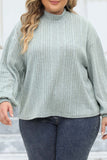 Casual Solid Basic Turtleneck Plus Size Tops