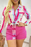 Sweet Striped Frenulum With Belt Turndown Collar Long Sleeve Two Pieces
