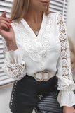 Work Solid Lace V Neck Blouses