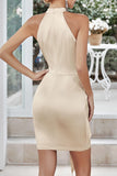 Celebrities Elegant Solid Bandage Halter Evening Dress Dresses(3 Colors)
