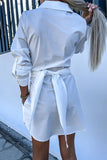Casual Simplicity Solid Pocket Shirt Collar Shirt Dress Dresses(3 Colors)