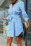 Casual Simplicity Solid Pocket Shirt Collar Shirt Dress Dresses(3 Colors)