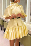 Elegant Solid Frenulum With Belt Turtleneck Princess Dresses