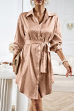 Casual Leopard Frenulum Turndown Collar Shirt Dress Dresses