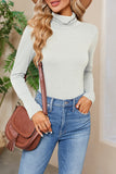 Daily Simplicity Solid Turtleneck Tops(6 Colors)
